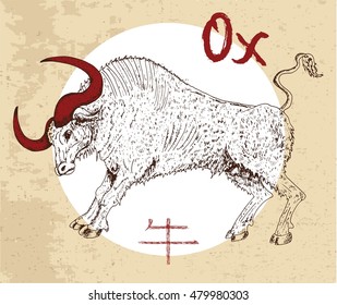 Chinese zodiac symbol of hand drawn Ox or Bull with lettering. Horoscope and astrological vector sign of asian new year calendar. Graphic drawing with engraved animal. Chinese hieroglyph means Ox