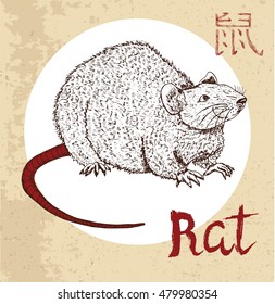 Chinese zodiac symbol of hand drawn rat or mouse with lettering. Horoscope and astrological vector sign of asian new year calendar. Graphic drawing with engraved animal. Chinese hieroglyph means Rat