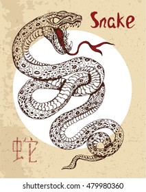 Chinese zodiac symbol of hand drawn Snake with lettering. Horoscope and astrological vector sign of asian new year calendar. Graphic drawing with engraved animal. Chinese hieroglyph means Snake