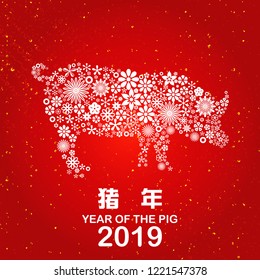 Chinese zodiac year of the pig design year of the pig