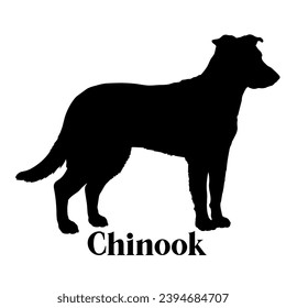 Chinook Dog silhouette dog breeds logo dog monogram logo dog face vector