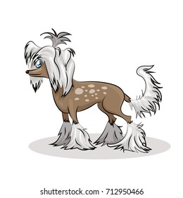 chinrse crested dog
