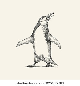 Chinstrap penguin. Adelie Gentoo bird. Vector graphics black and white drawing. Hand drawn sketch. Cute animal.