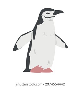 Chinstrap Penguin as Aquatic Flightless Bird with Flippers for Swimming in Standing Pose Vector Illustration