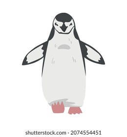 Chinstrap Penguin as Aquatic Flightless Bird with Flippers for Swimming in Standing Pose Vector Illustration