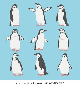 Chinstrap Penguin as Aquatic Flightless Bird with Flippers for Swimming Vector Set