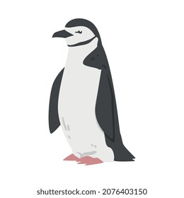Chinstrap Penguin as Aquatic Flightless Bird with Flippers for Swimming in Standing Pose Vector Illustration
