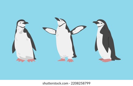 Chinstrap Penguin as Aquatic Flightless Bird with Flippers for Swimming Vector Set