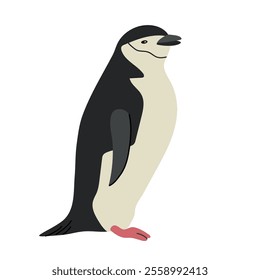 Chinstrap penguin icon clipart avatar logotype isolated illustration