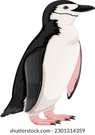 Chinstrap Penguin en la ilustración de fondo blanco