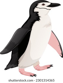 Chinstrap Penguin en la ilustración de fondo blanco