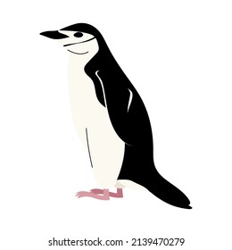 Chinstrap Penguin vector isolated on white background. Flat style illustration. Antarctica bird character