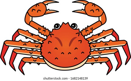 Chionoecetes, the name snow crab refers to their being commonly found in cold northern oceans.