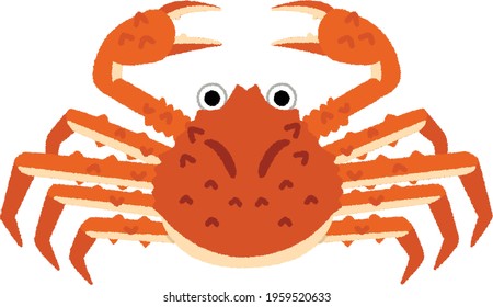 Chionoecetes, the name snow crab refers to their being commonly found in cold northern oceans.