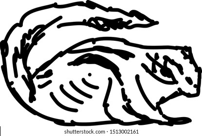 Chipmunk drawing, illustration, vector on white background.