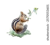 Chipmunk holding a branch with white berries, watercolor. Hand drawn vector illustration. For cards, posters, banners, wildlife protection day.