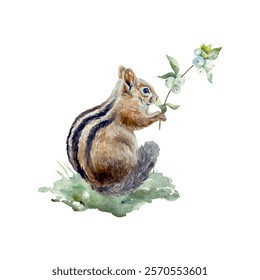 Chipmunk holding a branch with white berries, watercolor. Hand drawn vector illustration. For cards, posters, banners, wildlife protection day.