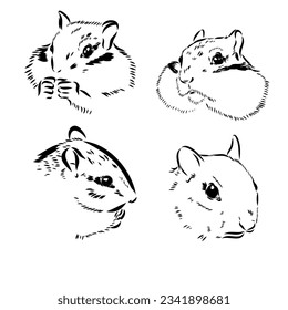 Chipmunk illustration in doodle style. Vector isolated on a white background.