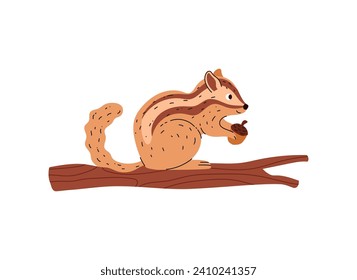 Chipmunk sit on tree branch and hold acorn in his paws. Wild northern forest animal. Cute ground squirrel. Isolated hand drawn vector illustration.