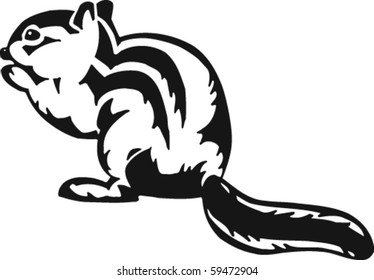 Chipmunk Vector Illustration