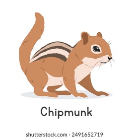 Vektorillustration eines Chipmunk-Cartoon-Clipart-Charakter, Tier im flachen Stil. Wilde Tiere, wilde Wesen, Wildtierkonzept. Tamias oder Chipmunk Vektorgrafik Design isoliert auf weißem Hintergrund