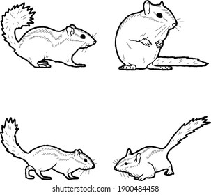 Chipmunk Vector Illustration Hand Drawn Animal Cartoon Art