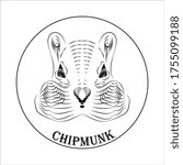 
chipmunk vector logo on a white background
