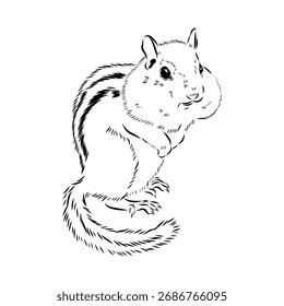 Ardilla, boceto de Vector, ilustración animal