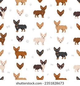 Chipoo seamless pattern. Chihuahua Poodle mix. Different coat colors set.  Vector illustration