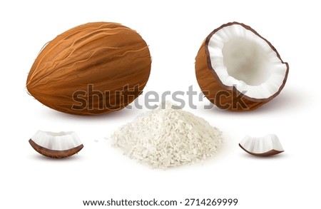 Chips and fresh coconut, isolated raw nut with shell. Vector in realistic style, tasty ingredient for cooking desserts. Healthy snack and material for cosmetic industry and skincare wellness