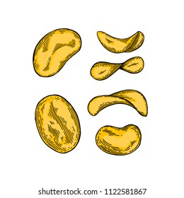 Chips set. Sketch of snack. Vintage engraved illustration isolated on white background. Template for label, poster, postcard, invitation, flyer, logo, menu. 