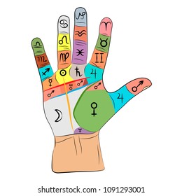 chiromancy hand infographic. palmistry vector drawing illustration