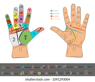 chiromancy hand infographic. palmistry vector drawing illustration