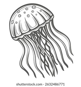 Chironex Fleckeri: Box Jellyfish Line Art