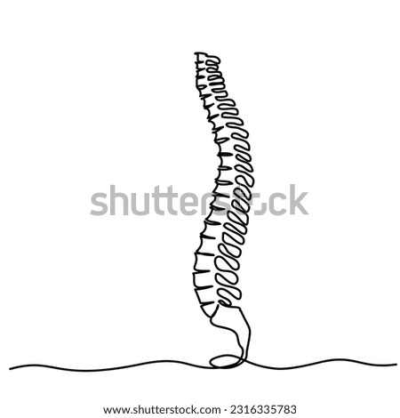 Chiropractor spine. Continuous one line drawing on white background, Simple sketch of part of skeleton. Vector illustration