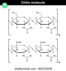Chitin molecule - chemical structure of natural compound, 2d vector of model on white background, eps 8