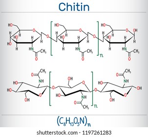 Chitin molecule. It is natural compound from the group of nitrogen-containing polysaccharides. Structural chemical formula and molecule model. Vector illustration