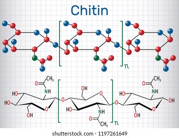 Chitin molecule. Structural chemical formula and molecule model. Sheet of paper in a cage. Vector illustration