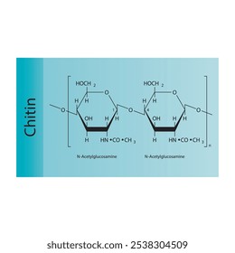 Chitin skeletal structure diagram.Polysaccharide compound molecule scientific illustration.