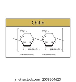 Chitin skeletal structure diagram.Polysaccharide compound molecule scientific illustration.