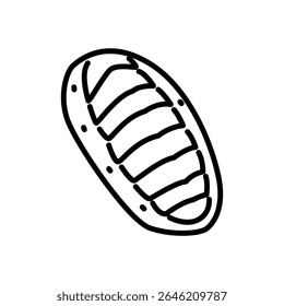 ícone de chiton vetor, ícone de estilo de linha