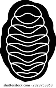 chiton mollusc marine animal calamari sea Glyph