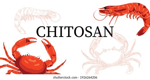 Chitosan is a dietary supplement. For weight loss and weight control. From the shells of crustaceans,
shrimp and crabs. Chitin, polysaccharide.