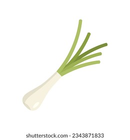 Chive icon flat vector. Onion garlic. Chinese herb isolated