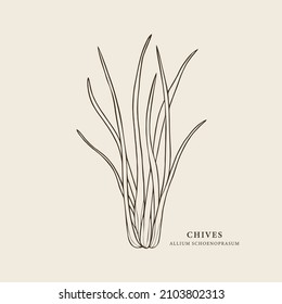 Chives Branch Hand Drawn Illustration