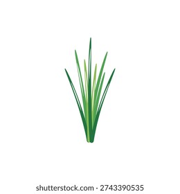 Chives Herb Icon with Thin Green Blades Flat Vector