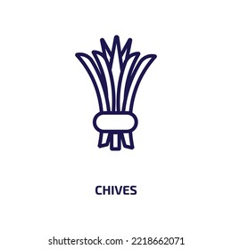 chives icon from food collection. Thin linear chives, cooking, organic outline icon isolated on white background. Line vector chives sign, symbol for web and mobile