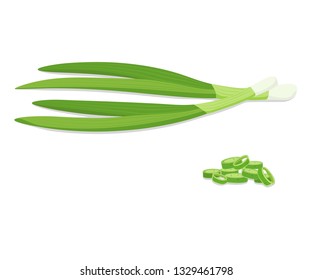 Chives isolated. Chopped fresh green onions. 