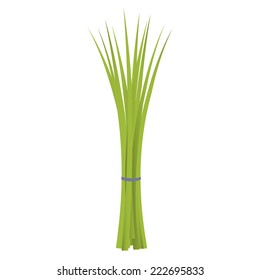 Chives. Chives isolated on a white background. svg