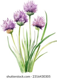 Chives watercolor illustration. Hand drawn underwater element design. Artistic vector marine design element. Illustration for greeting cards, printing and other design projects. svg